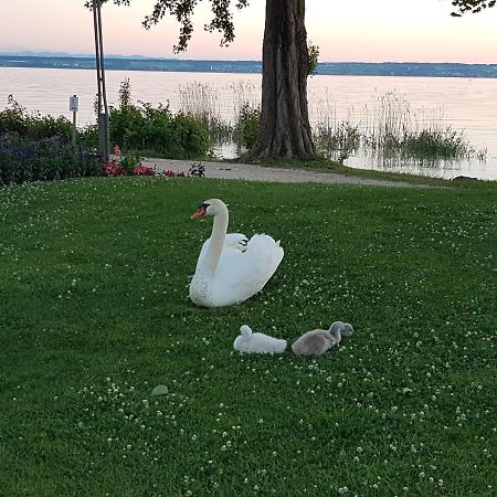 Malvelyns am Bodensee Immenstaad am Bodensee Exteriör bild