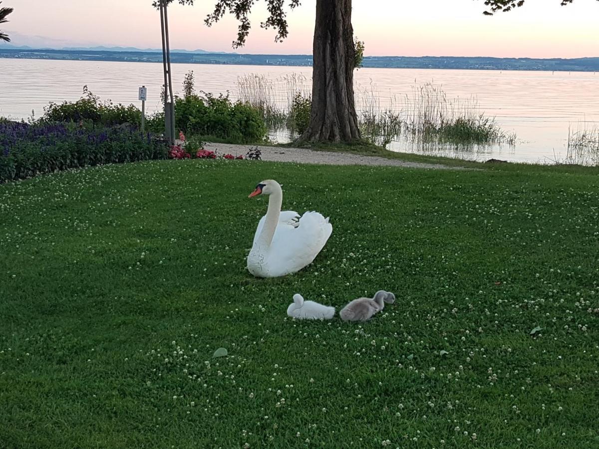 Malvelyns am Bodensee Immenstaad am Bodensee Exteriör bild